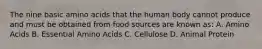 The nine basic amino acids that the human body cannot produce and must be obtained from food sources are known as: A. Amino Acids B. Essential Amino Acids C. Cellulose D. Animal Protein