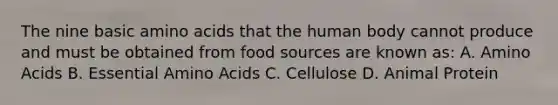 The nine basic amino acids that the human body cannot produce and must be obtained from food sources are known as: A. Amino Acids B. Essential Amino Acids C. Cellulose D. Animal Protein