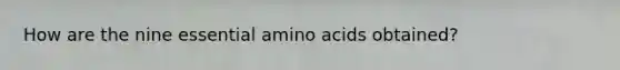 How are the nine essential amino acids obtained?