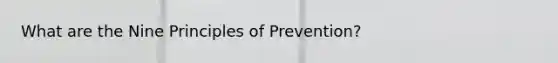 What are the Nine Principles of Prevention?