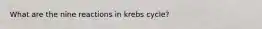 What are the nine reactions in krebs cycle?