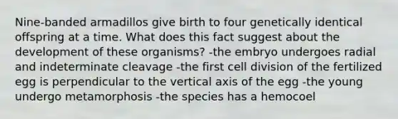 Nine-banded armadillos give birth to four genetically identical offspring at a time. What does this fact suggest about the development of these organisms? -the embryo undergoes radial and indeterminate cleavage -the first cell division of the fertilized egg is perpendicular to the vertical axis of the egg -the young undergo metamorphosis -the species has a hemocoel