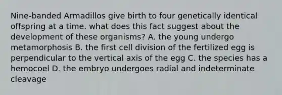 Nine-banded Armadillos give birth to four genetically identical offspring at a time. what does this fact suggest about the development of these organisms? A. the young undergo metamorphosis B. the first cell division of the fertilized egg is perpendicular to the vertical axis of the egg C. the species has a hemocoel D. the embryo undergoes radial and indeterminate cleavage