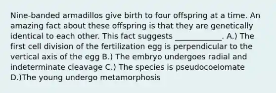 Nine-banded armadillos give birth to four offspring at a time. An amazing fact about these offspring is that they are genetically identical to each other. This fact suggests ____________. A.) The first cell division of the fertilization egg is perpendicular to the vertical axis of the egg B.) The embryo undergoes radial and indeterminate cleavage C.) The species is pseudocoelomate D.)The young undergo metamorphosis