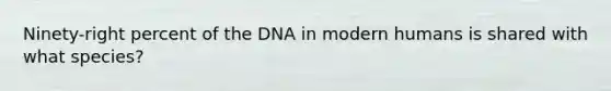 Ninety-right percent of the DNA in modern humans is shared with what species?