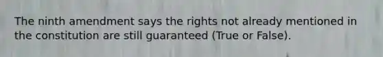 The ninth amendment says the rights not already mentioned in the constitution are still guaranteed (True or False).