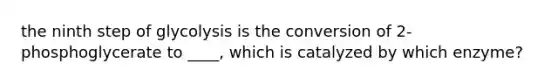 the ninth step of glycolysis is the conversion of 2-phosphoglycerate to ____, which is catalyzed by which enzyme?