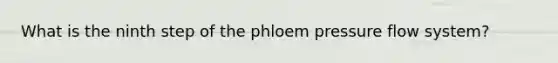 What is the ninth step of the phloem pressure flow system?