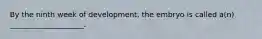 By the ninth week of development, the embryo is called a(n) ____________________.