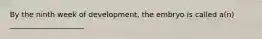 By the ninth week of development, the embryo is called a(n) ____________________