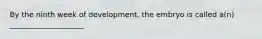 By the ninth week of development, the embryo is called a(n) ____________________​