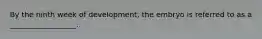 By the ninth week of development, the embryo is referred to as a __________________.