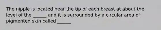 The nipple is located near the tip of each breast at about the level of the ______ and it is surrounded by a circular area of pigmented skin called ______
