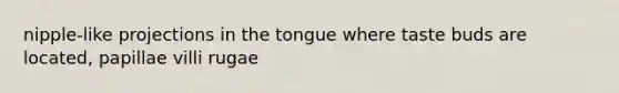 nipple-like projections in the tongue where taste buds are located, papillae villi rugae