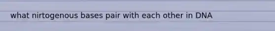 what nirtogenous bases pair with each other in DNA