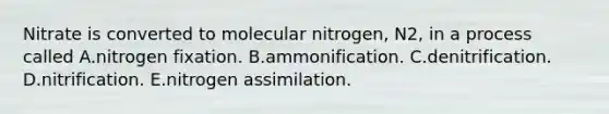 Nitrate is converted to molecular nitrogen, N2, in a process called A.nitrogen fixation. B.ammonification. C.denitrification. D.nitrification. E.nitrogen assimilation.