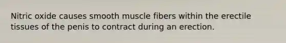 Nitric oxide causes smooth muscle fibers within the erectile tissues of the penis to contract during an erection.