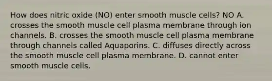 How does nitric oxide (NO) enter smooth muscle cells? NO A. crosses the smooth muscle cell plasma membrane through ion channels. B. crosses the smooth muscle cell plasma membrane through channels called Aquaporins. C. diffuses directly across the smooth muscle cell plasma membrane. D. cannot enter smooth muscle cells.