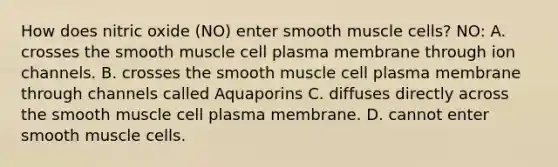 How does nitric oxide (NO) enter smooth muscle cells? NO: A. crosses the smooth muscle cell plasma membrane through ion channels. B. crosses the smooth muscle cell plasma membrane through channels called Aquaporins C. diffuses directly across the smooth muscle cell plasma membrane. D. cannot enter smooth muscle cells.