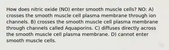 How does nitric oxide (NO) enter smooth muscle cells? NO: A) crosses the smooth muscle cell plasma membrane through ion channels. B) crosses the smooth muscle cell plasma membrane through channels called Aquaporins. C) diffuses directly across the smooth muscle cell plasma membrane. D) cannot enter smooth muscle cells.