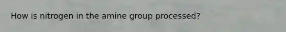 How is nitrogen in the amine group processed?