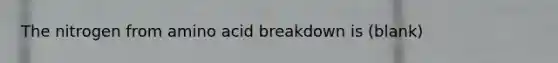 The nitrogen from amino acid breakdown is (blank)