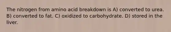 The nitrogen from amino acid breakdown is A) converted to urea. B) converted to fat. C) oxidized to carbohydrate. D) stored in the liver.