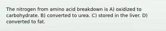 The nitrogen from amino acid breakdown is A) oxidized to carbohydrate. B) converted to urea. C) stored in the liver. D) converted to fat.