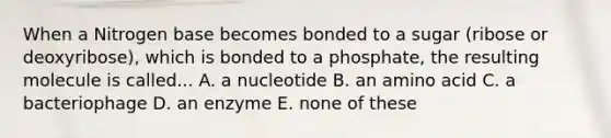 When a Nitrogen base becomes bonded to a sugar (ribose or deoxyribose), which is bonded to a phosphate, the resulting molecule is called... A. a nucleotide B. an amino acid C. a bacteriophage D. an enzyme E. none of these