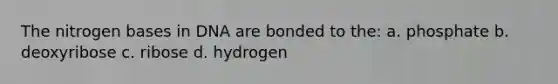 The nitrogen bases in DNA are bonded to the: a. phosphate b. deoxyribose c. ribose d. hydrogen