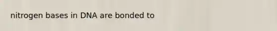 nitrogen bases in DNA are bonded to