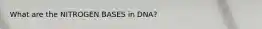 What are the NITROGEN BASES in DNA?