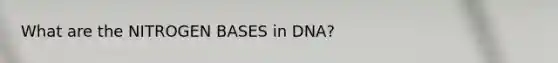 What are the NITROGEN BASES in DNA?