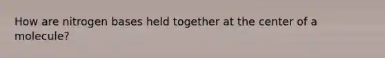How are nitrogen bases held together at the center of a molecule?