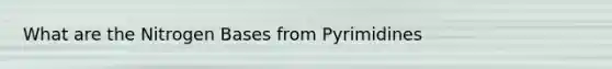 What are the Nitrogen Bases from Pyrimidines