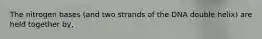 The nitrogen bases (and two strands of the DNA double helix) are held together by,