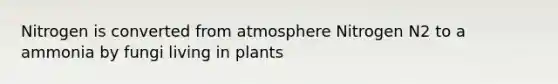 Nitrogen is converted from atmosphere Nitrogen N2 to a ammonia by fungi living in plants