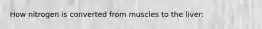How nitrogen is converted from muscles to the liver: