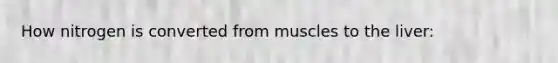 How nitrogen is converted from muscles to the liver: