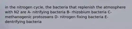 in the nitrogen cycle, the bacteria that replenish the atmosphere with N2 are A- nitrifying bacteria B- rhizobium bacteria C- methanogenic protozoans D- nitrogen fixing bacteria E- dentrifying bacteria