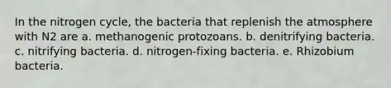 In the nitrogen cycle, the bacteria that replenish the atmosphere with N2 are a. methanogenic protozoans. b. denitrifying bacteria. c. nitrifying bacteria. d. nitrogen-fixing bacteria. e. Rhizobium bacteria.