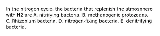 In the nitrogen cycle, the bacteria that replenish the atmosphere with N2 are A. nitrifying bacteria. B. methanogenic protozoans. C. Rhizobium bacteria. D. nitrogen-fixing bacteria. E. denitrifying bacteria.