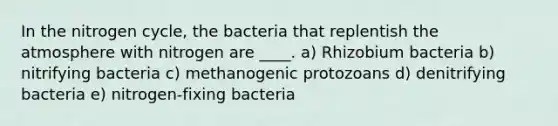 In the nitrogen cycle, the bacteria that replentish the atmosphere with nitrogen are ____. a) Rhizobium bacteria b) nitrifying bacteria c) methanogenic protozoans d) denitrifying bacteria e) nitrogen-fixing bacteria