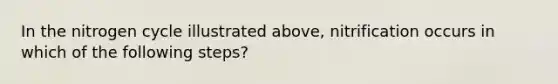In the nitrogen cycle illustrated above, nitrification occurs in which of the following steps?
