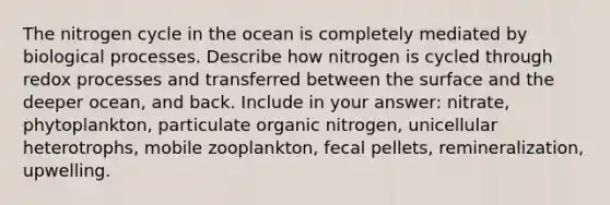 The nitrogen cycle in the ocean is completely mediated by biological processes. Describe how nitrogen is cycled through redox processes and transferred between the surface and the deeper ocean, and back. Include in your answer: nitrate, phytoplankton, particulate organic nitrogen, unicellular heterotrophs, mobile zooplankton, fecal pellets, remineralization, upwelling.