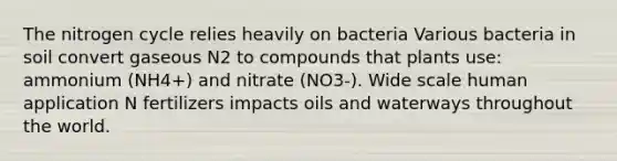 <a href='https://www.questionai.com/knowledge/kbs8ipDdy2-the-nitrogen-cycle' class='anchor-knowledge'>the nitrogen cycle</a> relies heavily on bacteria Various bacteria in soil convert gaseous N2 to compounds that plants use: ammonium (NH4+) and nitrate (NO3-). Wide scale human application N fertilizers impacts oils and waterways throughout the world.