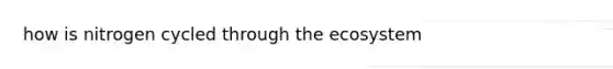 how is nitrogen cycled through the ecosystem