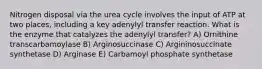 Nitrogen disposal via the urea cycle involves the input of ATP at two places, including a key adenylyl transfer reaction. What is the enzyme that catalyzes the adenylyl transfer? A) Ornithine transcarbamoylase B) Arginosuccinase C) Argininosuccinate synthetase D) Arginase E) Carbamoyl phosphate synthetase