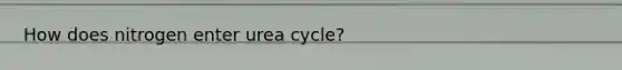 How does nitrogen enter urea cycle?