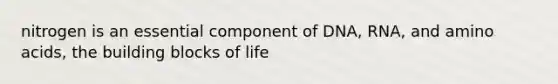nitrogen is an essential component of DNA, RNA, and amino acids, the building blocks of life